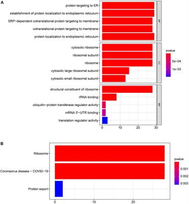 A signal recognition particle-related joint model of LASSO regression, SVM-RFE and artificial neural network for the diagnosis of systemic sclerosis-associated pulmonary hypertension